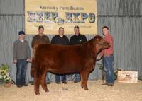 !!! Junior Heifer, Steer, and Market Heifer Jackpot Shows Trade Show and Youth Judging Contest
