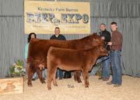 Hereford Friday, March 6th, 1:00 p.m. Saturday, March 7th, 1:00 p.m. Red Angus Friday, March 6th, 10:00 a.