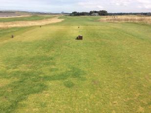 Given the high volumes of play the course receives annually, a fescue/dwarf rye mix was recommended to aid wear tolerance.