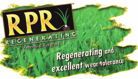 BB-092013 RPR technology inside! RPR creates regenerating tees and fairways with the highest wear tolerance.
