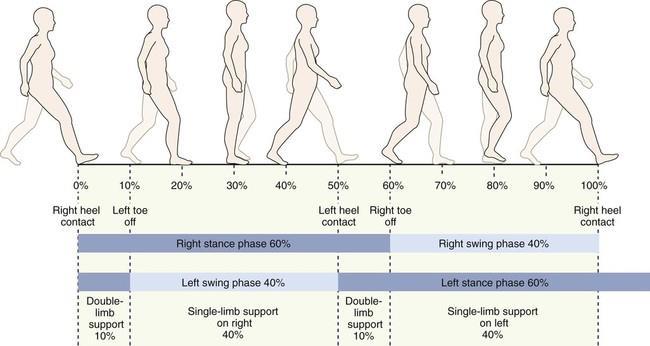 Elongation of Cycle Length Greater Midstance Duration Widened Bases of