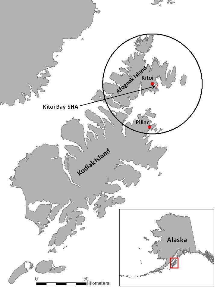Figure 2. The Kodiak Management Area showing hatchery locations (red circles) and the Kitoi Bay special harvest area (SHA). A 50 km circle is drawn around the Kitoi hatchery for reference.