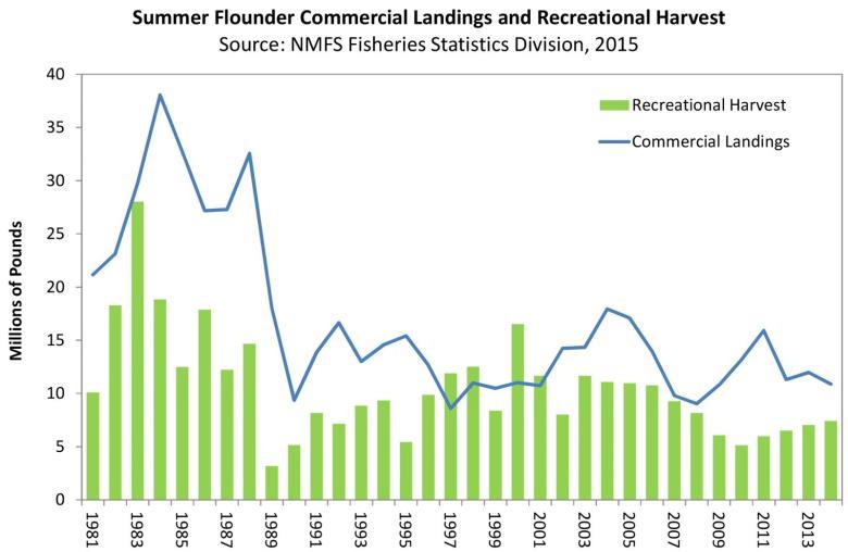9 Production Statistics Summer flounder along the East Coast of the United States supports both a commercial and recreational fishery.