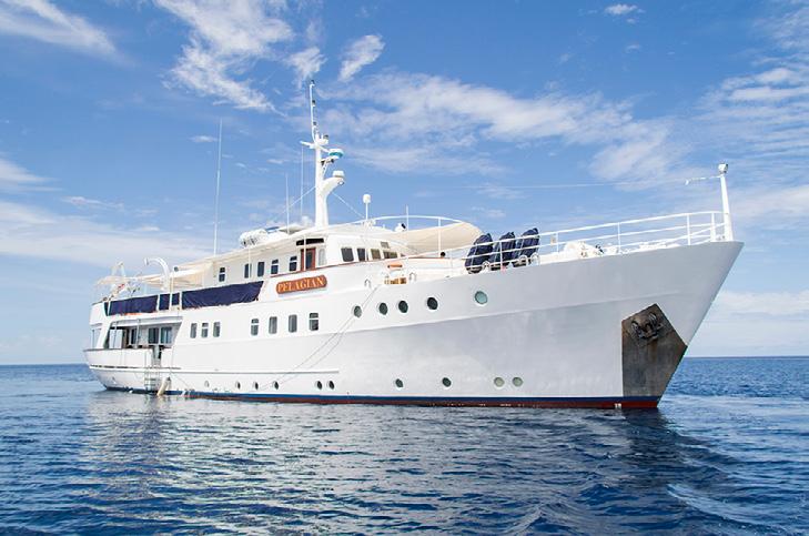 Divers will find comfortable yacht-like accommodations more akin to a hotel room with evn suite bathrooms and showers.