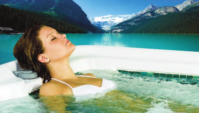 Hot Tub Harmony Ozone attacks and destroys organic compounds primary causes of cloudy water and foam whether they re from lake water, soap, sweat or cosmetics.