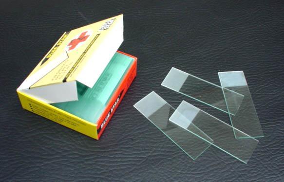 Glass slide: provides mounting