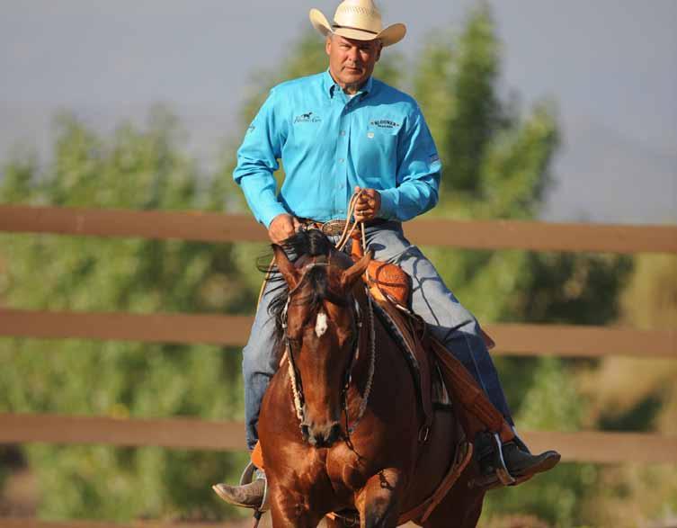 Perfecting the Lope: Champion Western Horseman Bob Avila on How to Train a Horse to Counter-Canter and Change