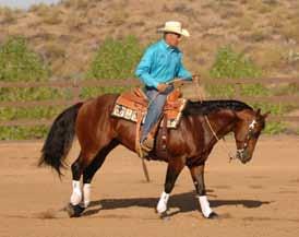 To guide and balance your horse in the new direction, lift your right rein and move it against his neck, keeping his shoulder up and pressing him leftward.