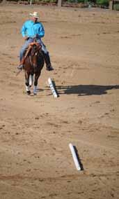 Getting it Straight When you focus on straightening your horse s body before, during and after a lead change, you eliminate problems.