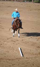 Using an exercise I learned from Al Dunning, you ll teach your horse to align and balance his body so he stays airborne for the extra moment he needs to switch his leading legs.