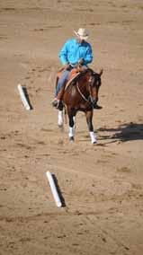 The poles will not only help keep your horse straight, they ll give you a straightness template for keeping your body and aids straight, too. Why the two-track?