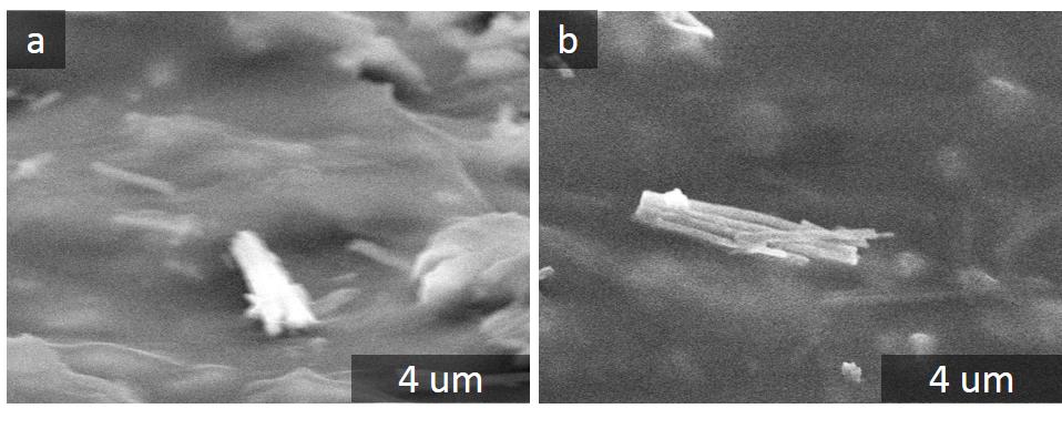 Fig. S8 SEM images of fractured parts of CuO nanowires at the NWP-Nafion film. Fig.