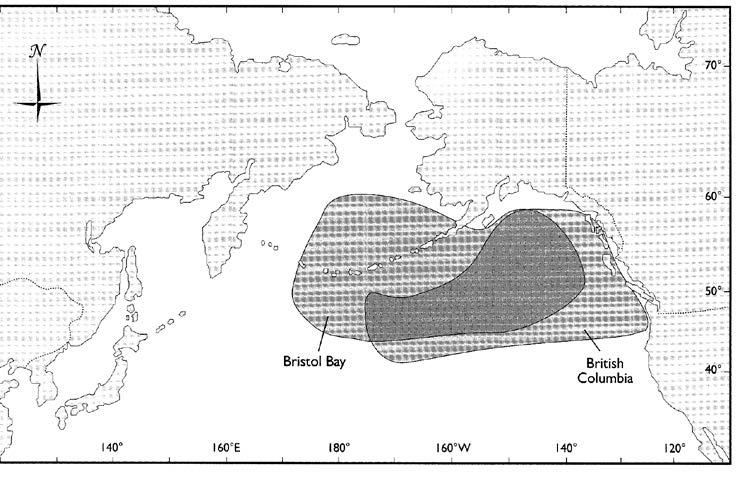 Sockeye Salmon (Anadromous) Oceanic Range