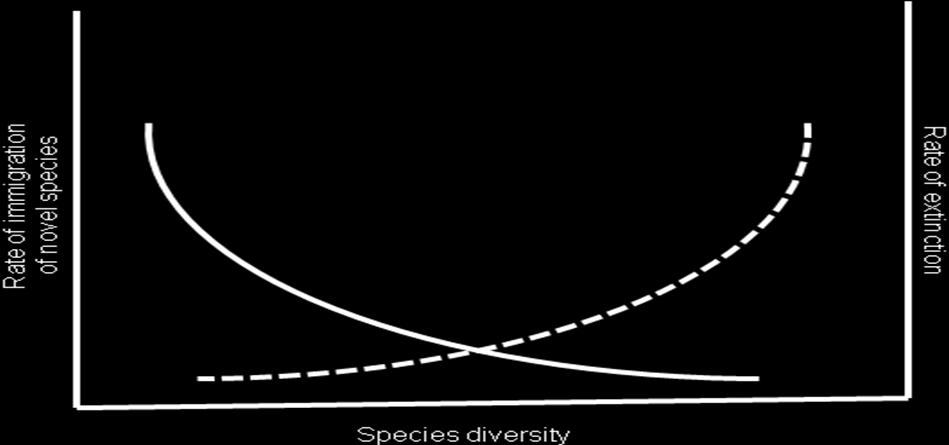 e) When the species number reaches S*, do you expect immigration and extinction to stop (Yes or no)? No f) If yes, why (one sentence)? It s not yes. g) If no, why doesn t S* change?