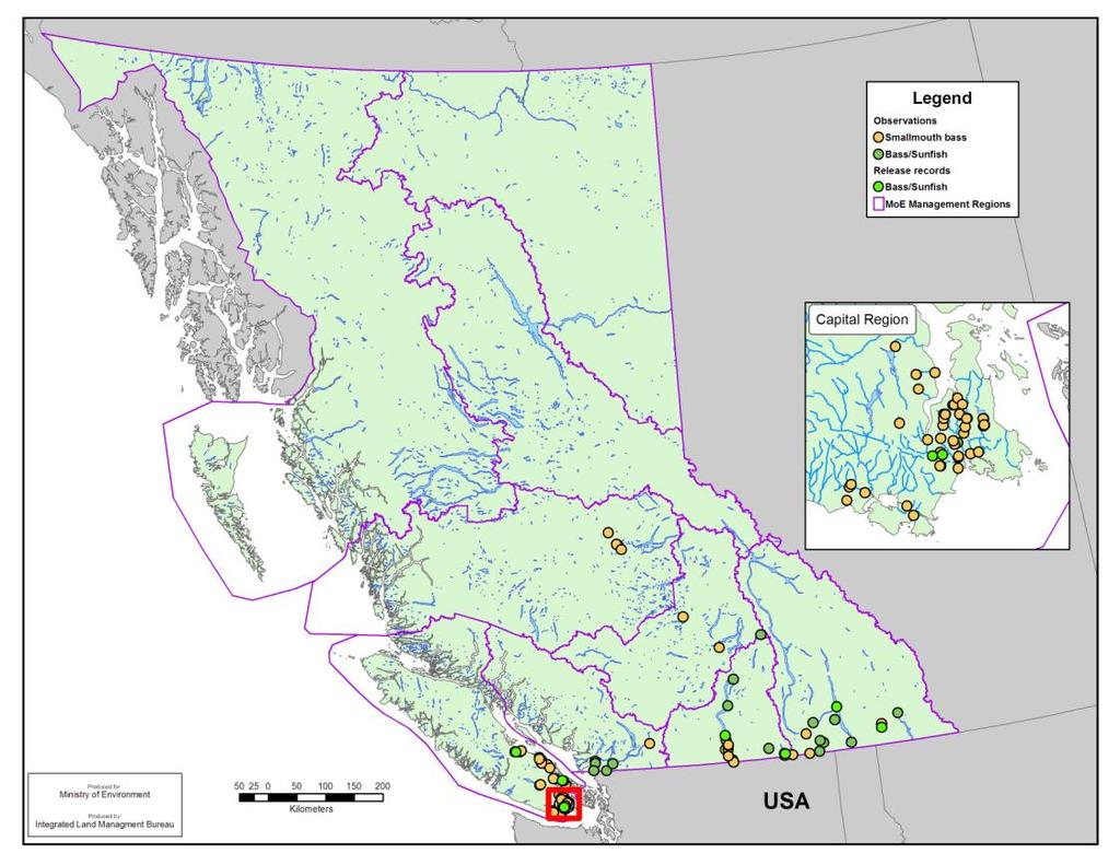 Cariboo Region Figure 1. Locations of smallmouth bass in BC (yellow points) and Ministry of Environment regional boundaries (outlined in purple, Hatfield and Pollard, 2006).