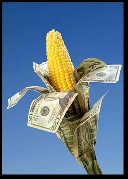 Looking Forward Farmer Debt at 40 Year Lows As of 2013, 78% of Iowa farmland has no debt.