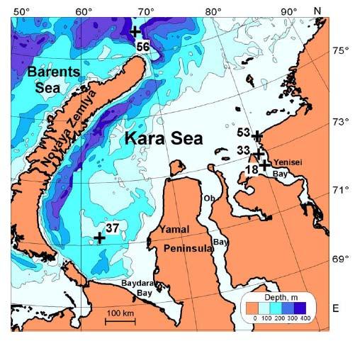 Study area 2: Kara Sea, February 2001 and March 2002 Ice thickness 2 m Surface T -1.7T to -0.5 C Phytoplankton abundance: 0.4-9.1 10 3 cells L -1 0.6-12.7 10-3 mg C L -1 - Low biomass 0.15-0.