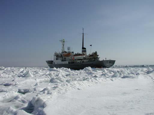 Study area 3: White Sea, April 2001 and 2003 6-99 April 2002: 4 stations Sea-ice thickness 32-52 cm; ice