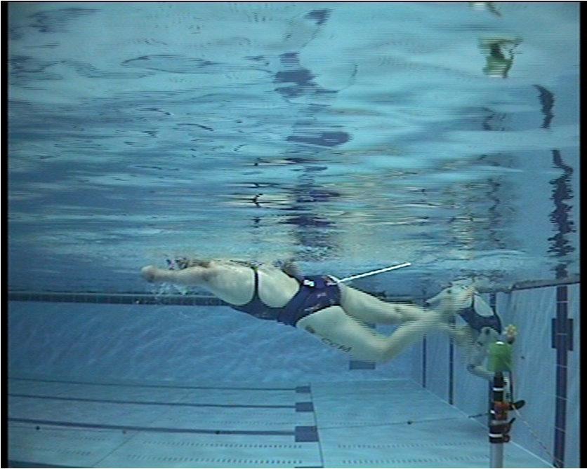 INTRODUCTION Fully tethered swimming presents a high level of muscle specificity to free swimming (Bollens et al., 1988). Semi-tethered swimming (Costill et al.