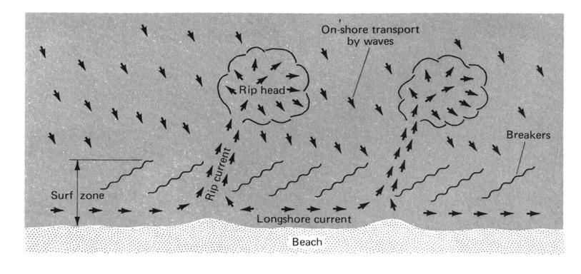 Rip Currents Rip currents are the primary mechanism for returning water through surf