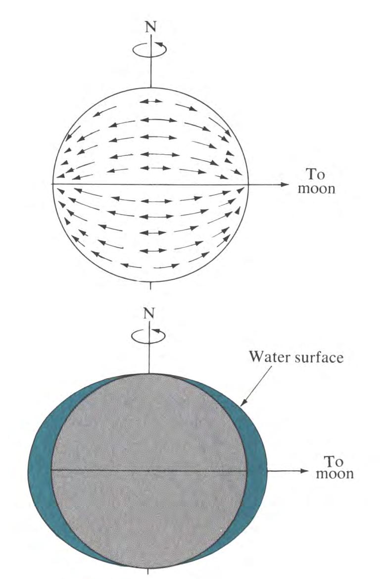 Cause of Tides Gravitational attraction of moon/sun creates bulge of ocean water Centrifugal force