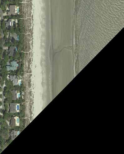 218 Annual Beach Monitoring Report B-18 2 Dune