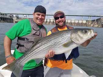 walleye, and stripers