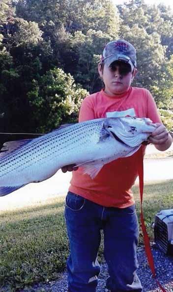 19) Dalton Beshears with a 36-inch striper. Photo courtesy Pro Anglers Shop.