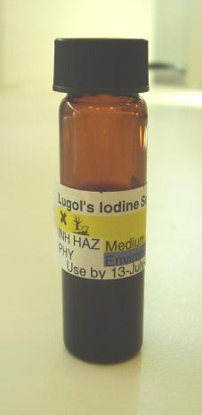 Use of Lugol s Use of Lugol s fixative fixative Iodine will stain clothing