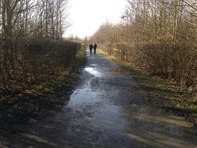 Along with the routes detailed above, various leisure cycle routes exist through Hockley Woods, Cherry Orchard Jubilee Country Park and Sweyne Park (Figure 4.