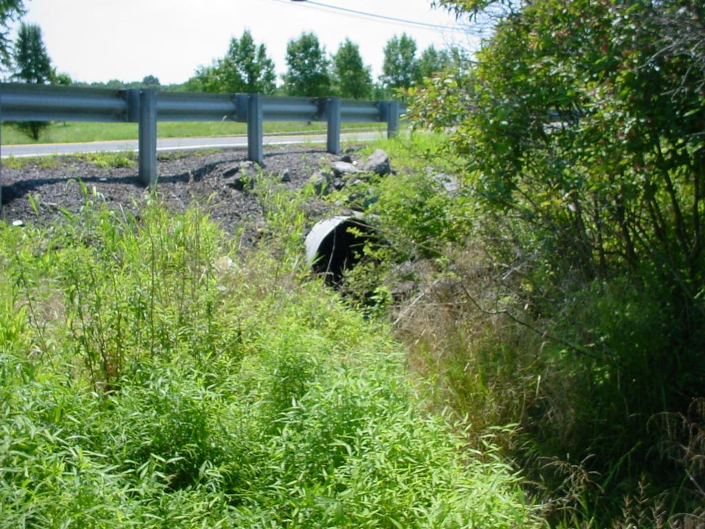 Existing Roadway Conditions County Bridge Structures C0803: Pipe Culvert in