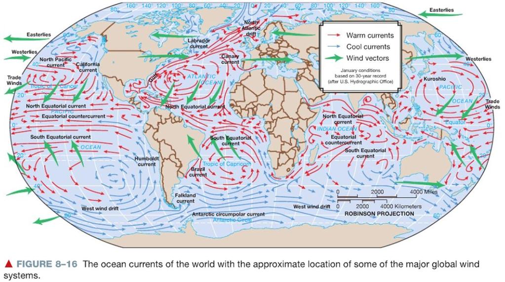 Ocean circulation: Surface currents Winds