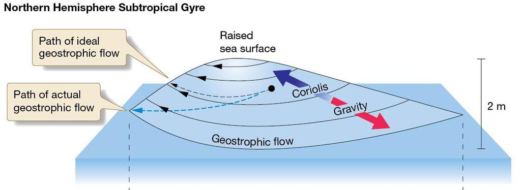 Surface ocean circulation: Geostrophic flow Geostrophic