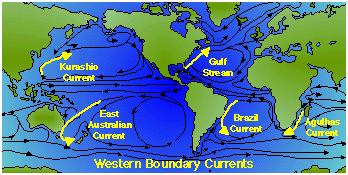 Surface ocean circulation: Western boundary currents https://www.