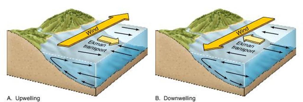 Upwelling and Downwelling 2.
