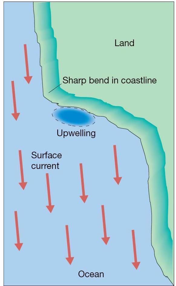 Upwelling and Downwelling 3.