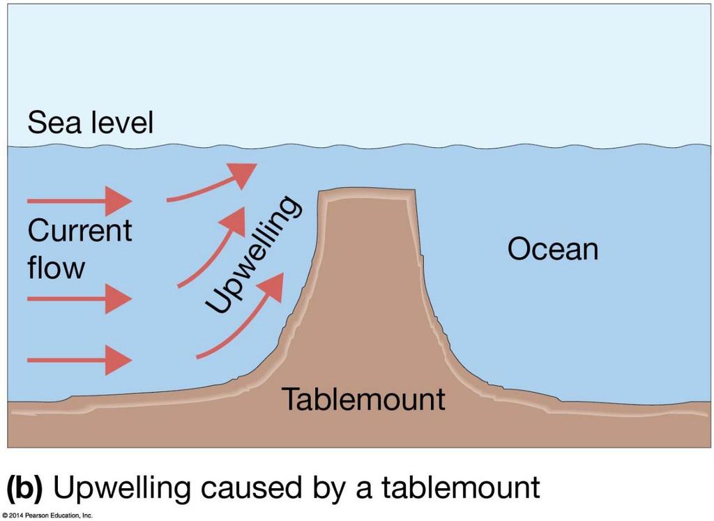 Upwelling and