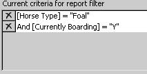 The Current criteria for report filter is how the computer must look at the filter you have just created: This is how the computer must look at the criteria.