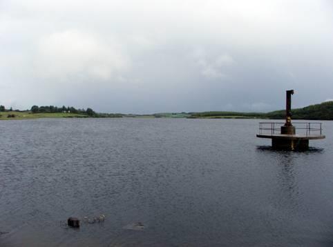 Historically, Lickeen Lough held a stock of Arctic char (O Reilly, 2007). However the population is now extinct in the lake.