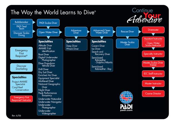 What is a PADI professional?