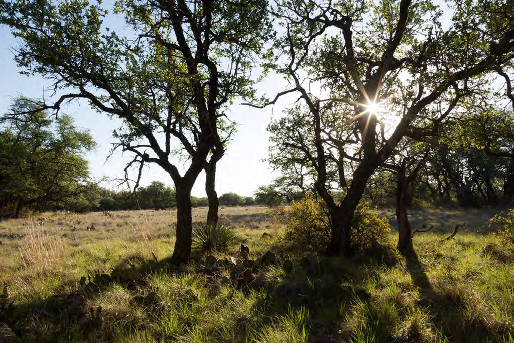 In more recent years, two adjoining ranches containing a total of 2,891 acres were added