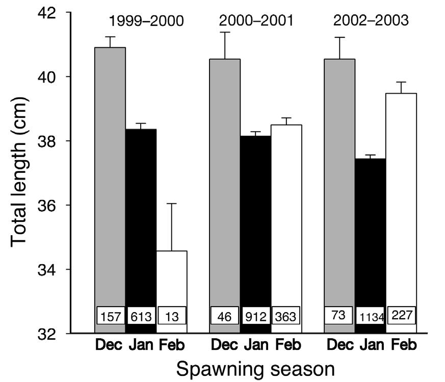 Dashed vertical lines indicate start of seasonal closure in November 1990 and establishment of MCD in December 1999. Data recalculated from Olsen & LaPlace (1978), Sylvester et al.
