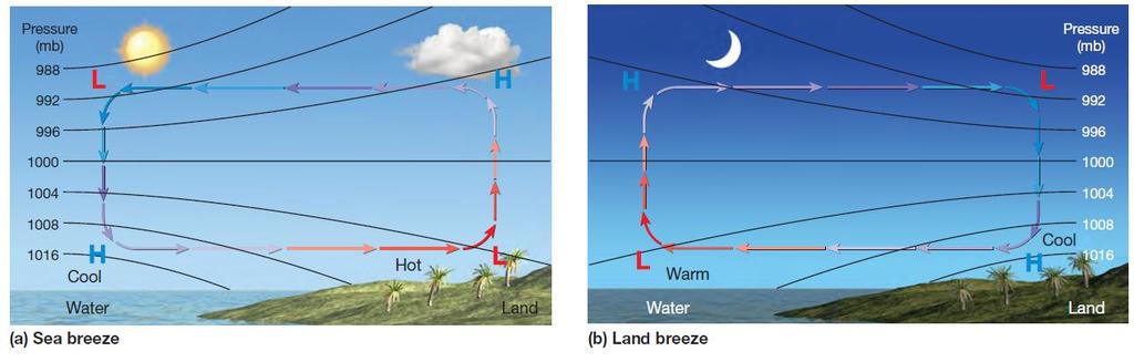 Land Breezes In the night the reversal of condition takes place. The land loses heat faster and is cooler than the sea.