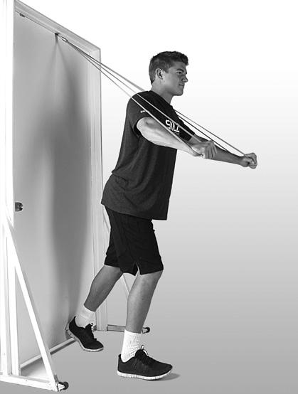 Bring your arms back to the starting position. 4 Continue for the remainder of the set. PULL DOWN HALF KNEELING 1 Attach the Pro Band to the door anchor at a high point.