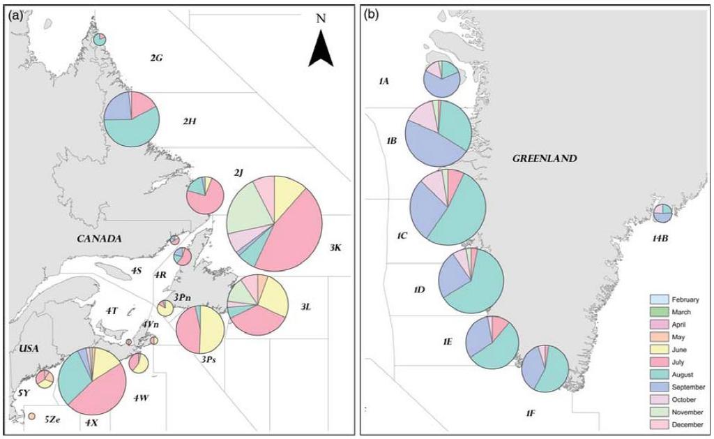 Fifty years of marine tag recoveries from Atlantic salmon 93 Figure 7.40.