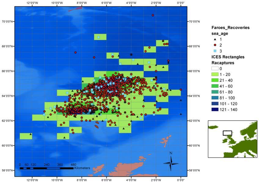 56 ICES Cooperative Research Report No. 343 Figure 7.4. Spatial distribution and sea ages of salmon recaptures around the Faroes with associated densities per ICES rectangles. 7.2.