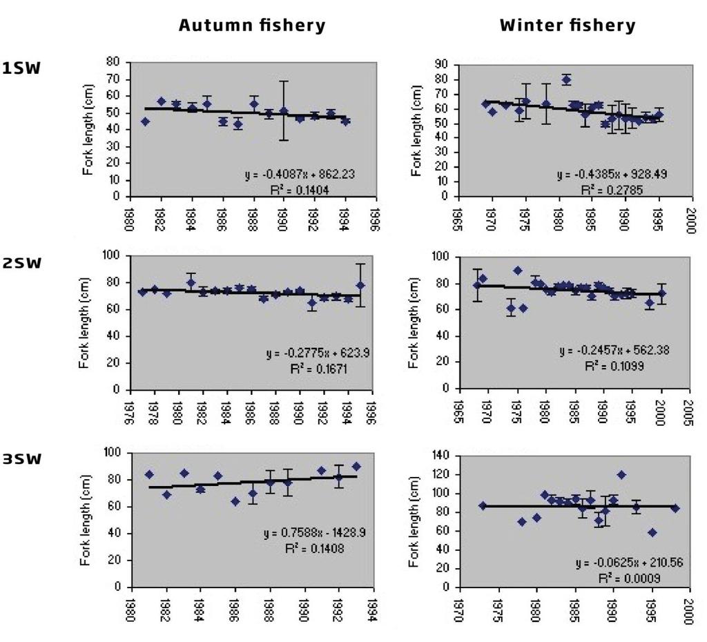 Fifty years of marine tag recoveries from Atlantic salmon 57 instances of strongly significant decreases in fish length over the time-series: 1SW fish caught in winter and 2SW fish caught in autumn
