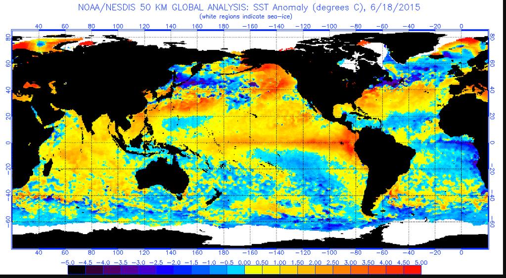 June 2015 full global chart SST ANOMALIES NOAA CHARTS