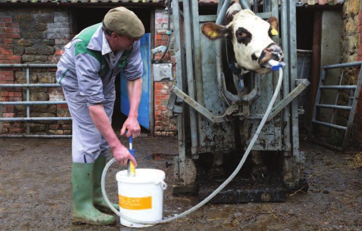 PUMP DRENCHER CLINICAL NUTRITION REHYDRATION SAVES COWS LIVES Be prepared with a SELEKT Pump-Drencher on your farm - ready to save a cow s life whenever you need to.