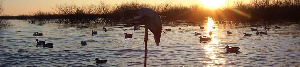 I shot ducks on Catahoula with some friends last weekend and had a good hunt, but the birds are educated this